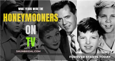 The Honeymooners: A TV Classic's Timeless Appeal