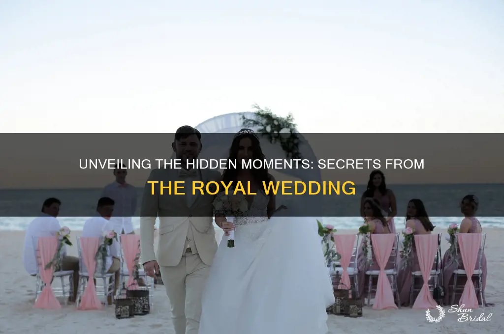 what you dudnt see at the royal wedding