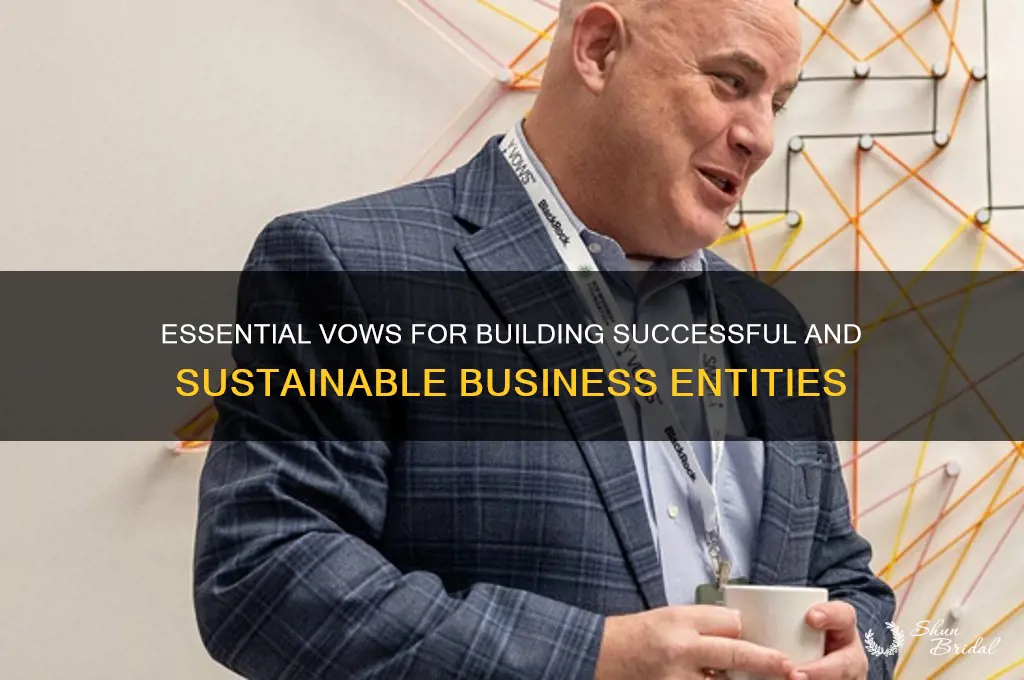 what you must vow to make business entities