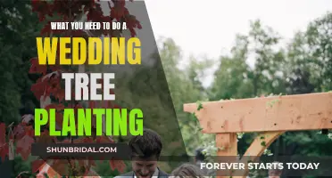 Planting a Wedding Tree: Steps for a Green Celebration