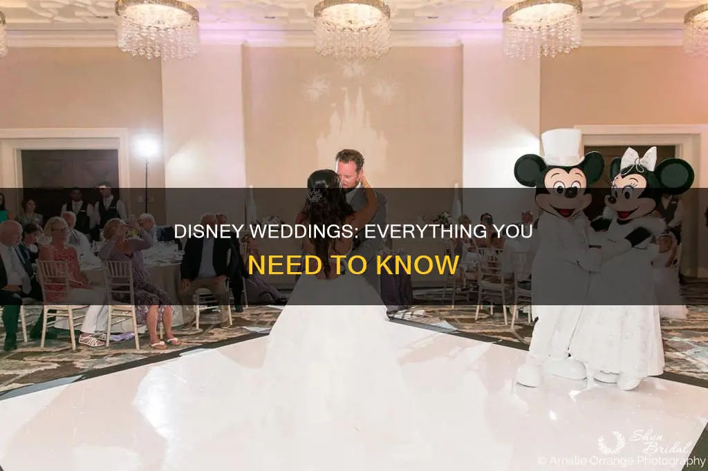 what you need to know about disney weddings