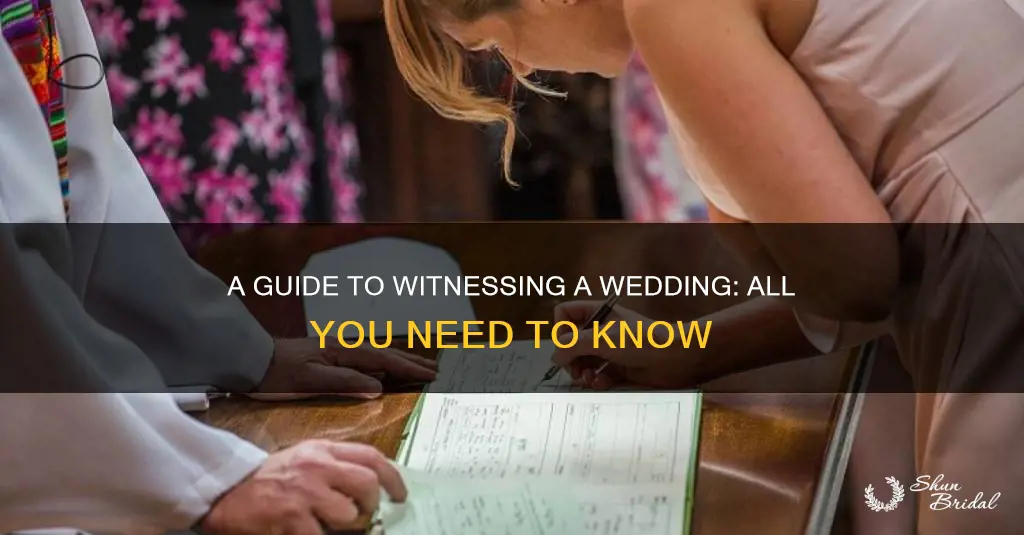what you need to know to witness a wedding