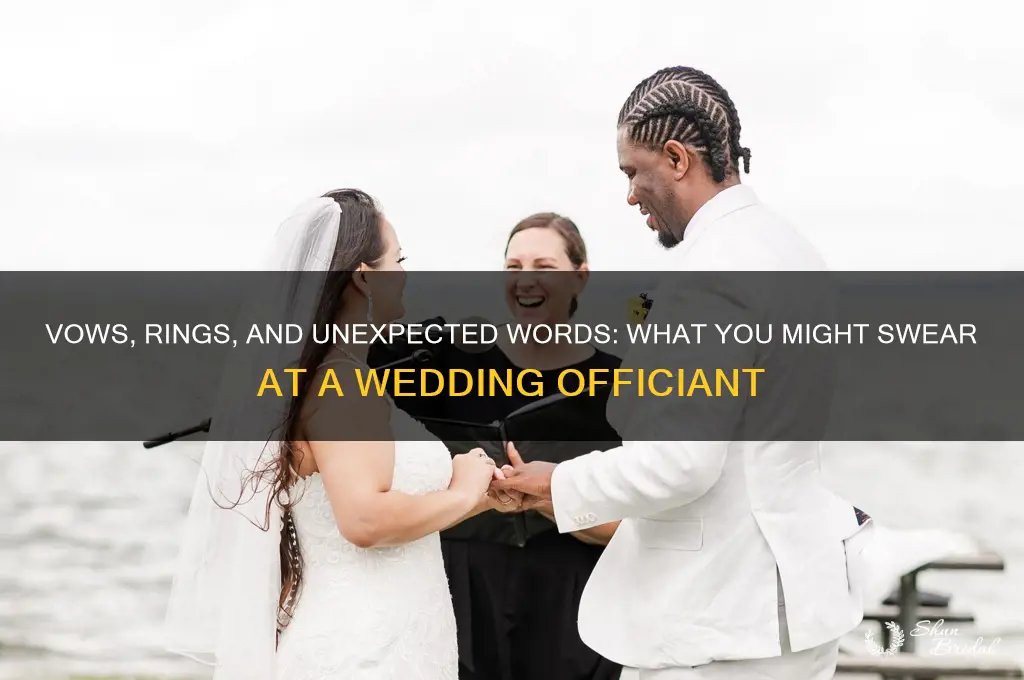 what you swear at wedding officiant
