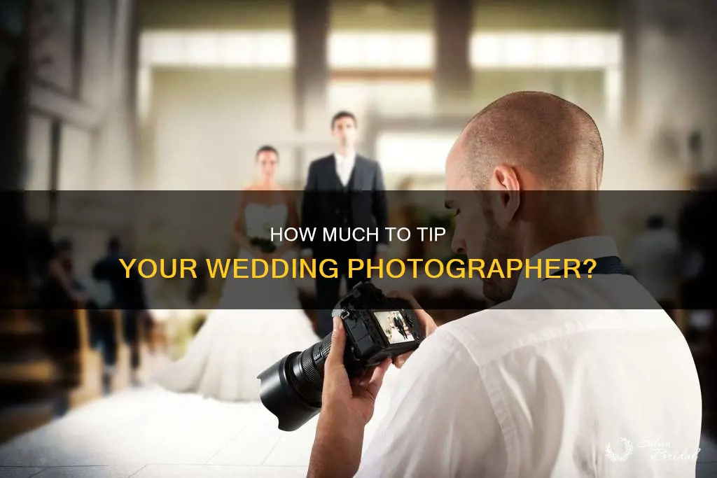 what zhould you tip wedding photographer