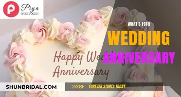Celebrating 19 Years of Love: Your 19th Wedding Anniversary Guide