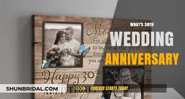 Celebrating Three Decades of Love: The 30th Wedding Anniversary Guide