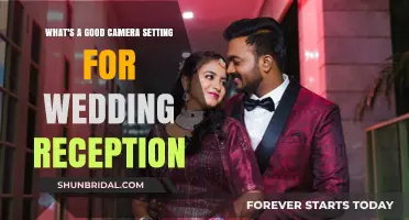 Capturing the Perfect Wedding Reception: Camera Settings Guide