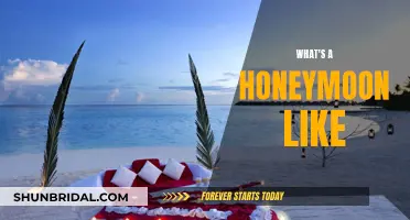 Honeymoon Highlights: An Intimate Adventure