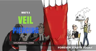 Understanding Veil Piercing: Corporate Law's Tool to Hold Owners Accountable