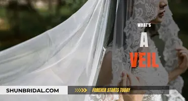 Understanding the Veil: Symbolism, Tradition, and Cultural Significance Explained