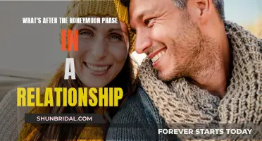 The Post-Honeymoon Phase: Navigating Relationship Challenges
