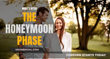 The Honeymoon Phase: Navigating the Post-Honeymoon Relationship Challenges