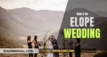 Elope Weddings: An Intimate, Adventure-Filled Union