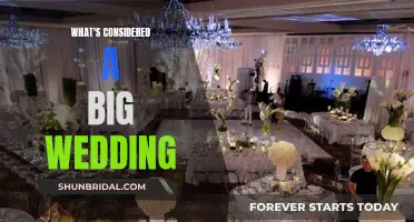 Big, Bigger, Biggest: Unraveling the Many Faces of Extravagant Weddings