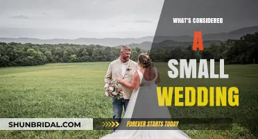 Weddings: Intimate, Small, and Cozy