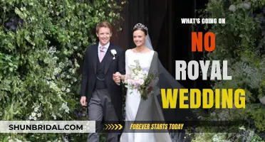 No Royal Wedding: Unraveling the Mystery Behind the Missing Ceremony