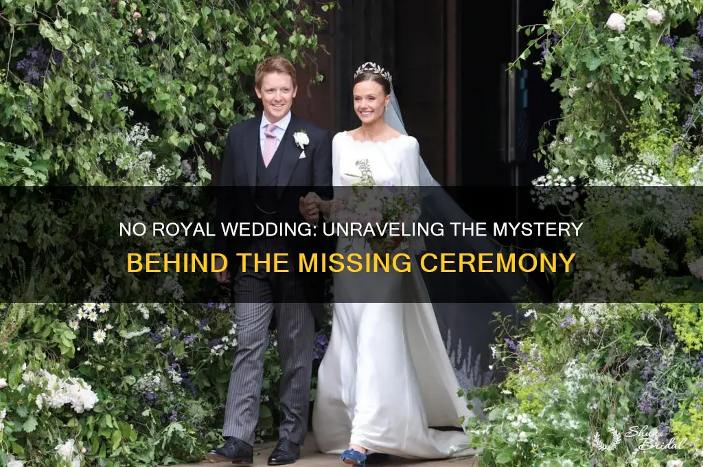 No Royal Wedding Unraveling The Mystery Behind The Missing Ceremony