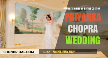 Priyanka Chopra's Lavish Wedding: Unveiling the Staggering Cost Breakdown