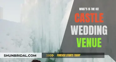 Winter Wonderland: Ice Castle Weddings