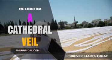 Beyond the Cathedral Veil: Exploring the Longest Wedding Veil Styles