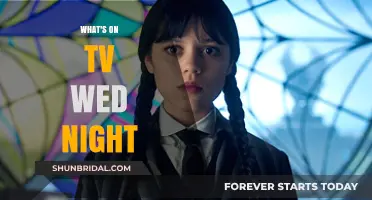 Wednesday Night TV Guide: Top Shows to Watch Tonight