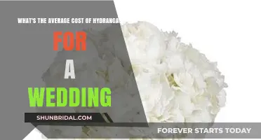 Hydrangeas for Weddings: Average Costs and Budget-Friendly Tips