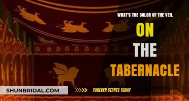 Unveiling the Tabernacle: Exploring the Color of Its Sacred Veil