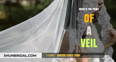 The Veil's Purpose: Tradition, Modesty, or Symbolic Statement?