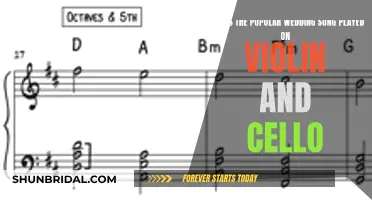 Violin and Cello Wedding Songs: Popular Choices
