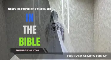 Biblical Significance of the Wedding Veil: Unveiling Sacred Traditions