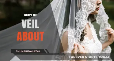 Unveiling the Mystery: Understanding the Symbolism and Significance of the Veil