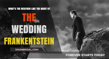 Frankenstein's Wedding Night: Weather Forecast and Atmospheric Insights