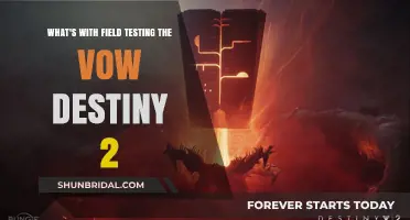 Field Testing the Vow in Destiny 2: What's the Hype?