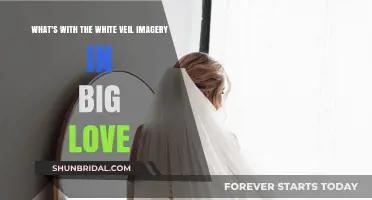 Big Love's White Veil: Symbolism and Significance Explored