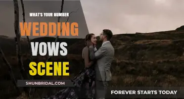 Romantic Wedding Vows Scene from What's Your Number: A Heartfelt Analysis
