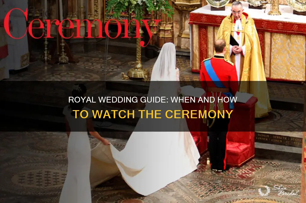 when and how to watch the royal wedding