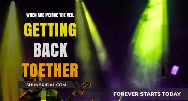 Pierce the Veil Reunion: When Will the Band Return?