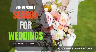 Peonies for Weddings: Best Seasons to Choose From