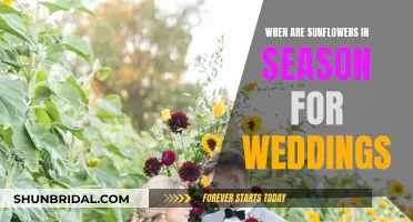 Sunflower Wedding Season: Timing Your Special Day Perfectly