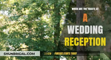 Toasts: A Wedding Reception Timeline