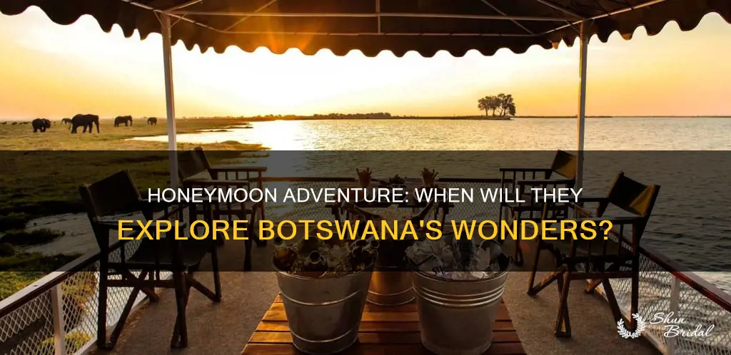 when are they going to botswana on their honeymoon