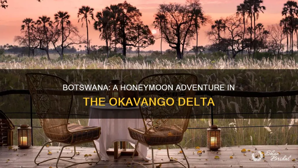 when are they going to botswana on their honeymoon
