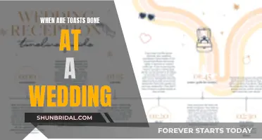 Toasts: The Perfect Timing for Wedding Cheers