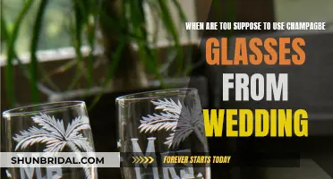 Champagne Glasses: Wedding Essentials and Beyond