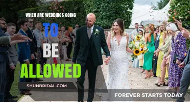 When Can We Celebrate Again? Wedding Restrictions Update and Timeline