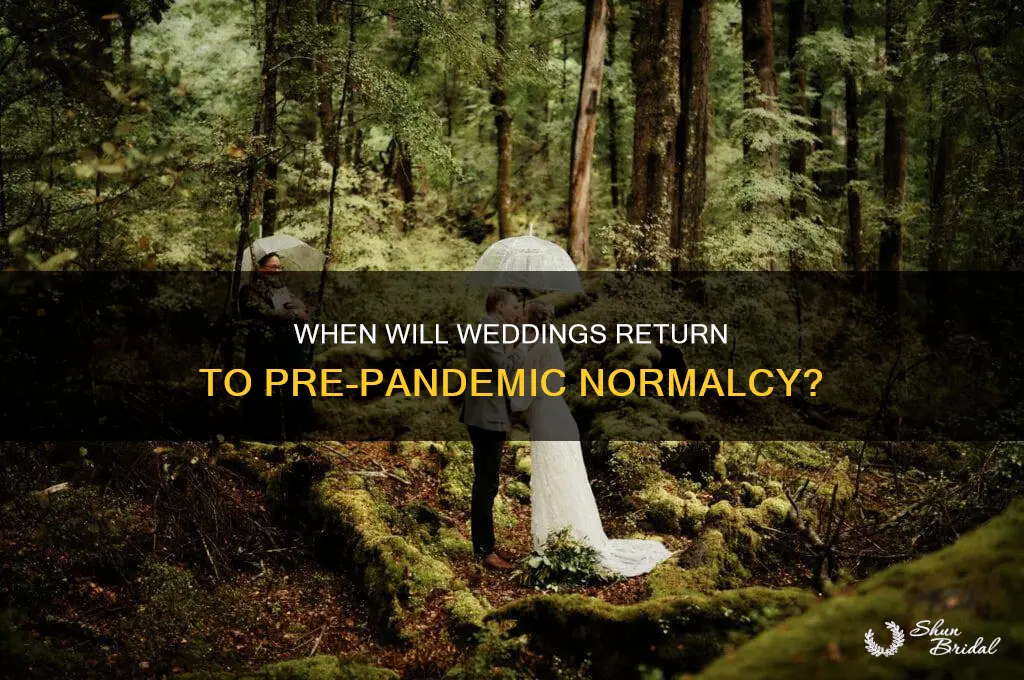 when are weddings likely to go back to normal