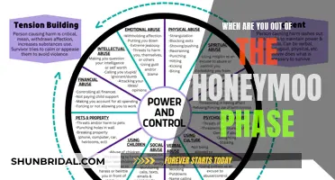 Understanding the End of the Honeymoon Phase
