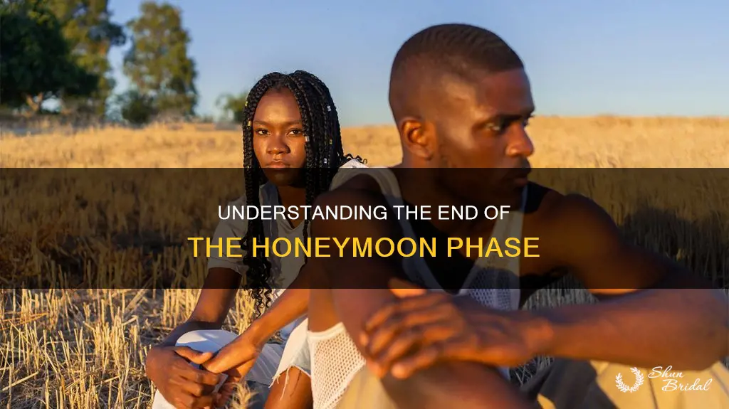 when are you out of the honeymoon phase