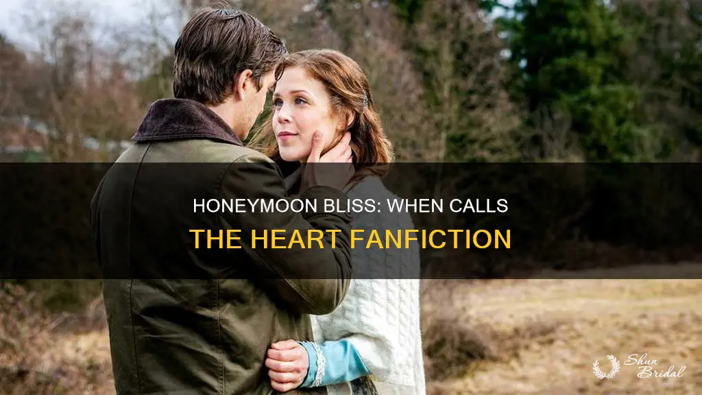 when calls the heart fanfiction honeymoon