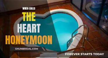 Heart's Honeymoon: A Journey of Love and Adventure